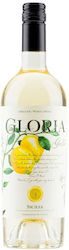 Mare Magnum Βιολογικό Gloria Λευκό Ξηρό 750ml