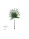 Artificial Decorative Branch Green 170cm GloboStar