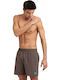 Fundamentals Boxer R Costume de baie bărbați Pantaloni scurți Kaki