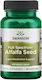Swanson Alfalfa Seed 400mg 60 Mützen