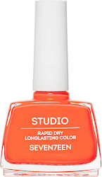 Seventeen Studio Rapid Dry Lasting Color Luciu ...