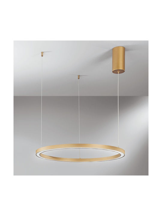 Fan Europe Led-Hoop-S60 Pendant Light LED with Cold White Light Gold LED-HOOP-S60-ORO