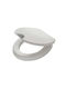 TIGER Wooden Soft Close Toilet Seat White 43.9cm