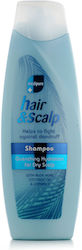 Xpel Medipure Sampon de Par Hidratare Scalp Sensibil 400ml Xpel Medipure Sampon de Par Hidratare Scalp Sensibil 400ml