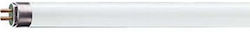 Philips Philips Fluorescent Lamp with T5 Shape 24W