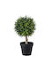 Künstliche Pflanze im Töpfchen Ficus Lyrata Beige 35cm GloboStar