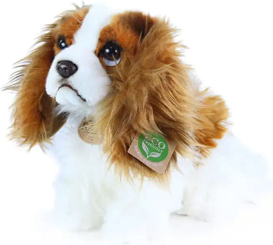 Λούτρινο Σκυλάκι King Charles Spaniel 25 εκ.