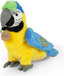 Plush Parrot 24 cm