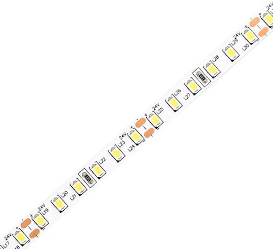 Braytron Ταινία LED 24V Ψυχρό Λευκό Φως 5m Τύπου SMD5050