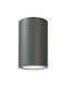 Inlight Reindeer Einzel Spot mit Fassung GU10 in Gray Farbe