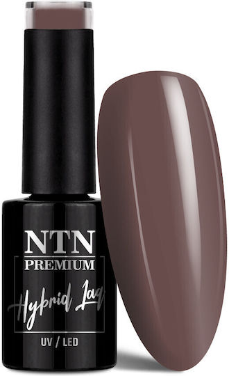 NTN Premium Drama Queen Ημιμόνιμο Βερνίκι Νυχιών Cacao Pink 210 5ml