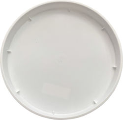 white plate No 263