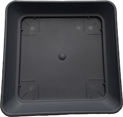 Square plate black No 197