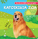 Κατοικίδια Ζώα