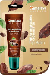 Himalaya Wellness Unt Ultra Hidratant de Cacao pentru Buze 10gr