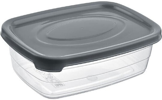 Viosarp Plastic Lunch Box Trendy Transparent 2000ml
