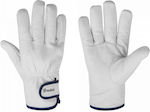 Bradas Leather Safety Gloves White