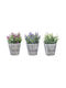 Plantă Artificială în Ghiveci Mic Purple 18cm Bizzotto