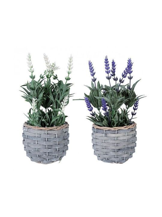 Künstliche Pflanze im Töpfchen Violett 11,5x11,5x23 Weiß 23cm Bizzotto