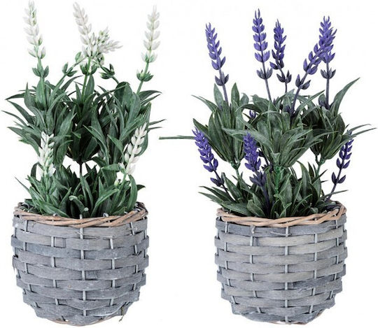 Plantă Artificială în Ghiveci Mic Violet 11,5x11,5x23 White 23cm Bizzotto
