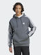 Adidas Essentials Men's Sweatshirt with Hood and Pockets Dark Grey Heather