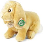 Rappa Plush Bunny 24 cm