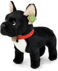 Rappa Puppy 30 cm.