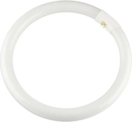 Redled Lampă Fluorescentă pentru Dulie G10Q 40W