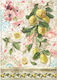 Stamperia Tissue paper Decoupage Blue
