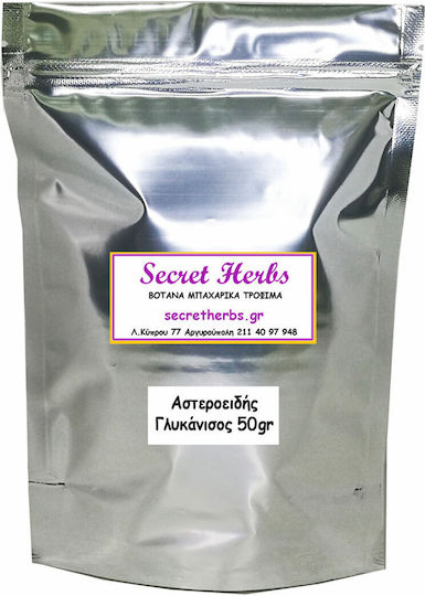 Secret Herbs Anise 20gr