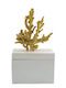 Zen Collection Διακοσμητικό Κουτί Πλαστικό 18.5x9.7x26.5cm