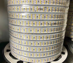 Ταινία LED 220V Φυσικό Λευκό 1m Ταινία LED 220V Φυσικό Λευκό 1m