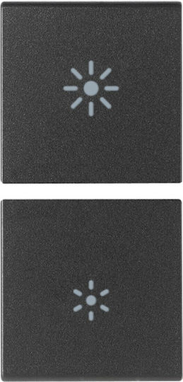 Vimar Μετώπη Διακόπτη Dimmer 2 Θέσεων σε Γκρι Χρώμα 20755.3