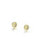 14K Yellow Gold Earrings