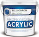 Pellachrom Professional Acrylic Plastic Acrilyc Paint for Exterior Use Dark Grey 700ml