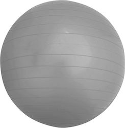 250144 Ball 25cm Gray