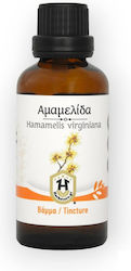 Herbstore Tinctură Tinctură Hamamelis 50ml Energie