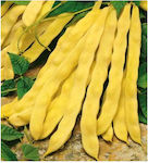 Beans Zaragana Yellow Climbing Meraviglia | 5kg