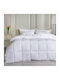 Cannon Duvet Queen 220x240cm Scotch White 350Gsm