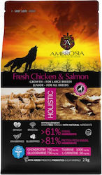 Ambrosia Large Chicken + Salmon 2kg Ξηρά Τροφή χωρίς Σιτηρά για Κουτάβια Μεγαλόσωμων Φυλών με Κοτόπουλο και Σολομό