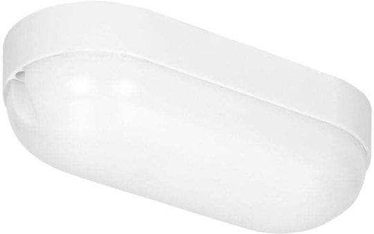 Redled Wall-Mounted Outdoor Ceiling Light LED IP65 12W with Natural White Light