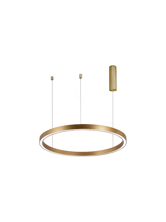 Braytron Pendant Light LED with Warm to Cool White Light Gold