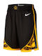 Nike Men's Football Shorts