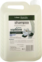 Miss Sandy Shampoos Hydration 4000ml Miss Sandy Shampoos Hydration 4000ml