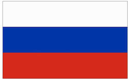 Office flag of Russia 18x25cm