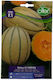 Olter Samen Melone Pepito