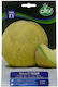 Olter Samen Melone Zuckerweiß
