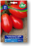 Olter F1 Seeds Tomatoς