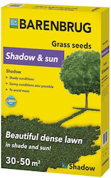 Barenbrug Seeds Shadow