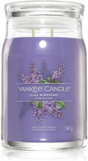Yankee Candle Signature Aromatische Kerze in Gefäß Lilac Blossom
